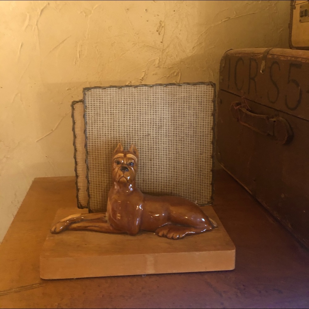 🐕 Perfect for that boxer fan 😊 Vintage TV lamp boxer dog